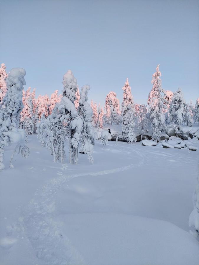 Latvus Chalet *
