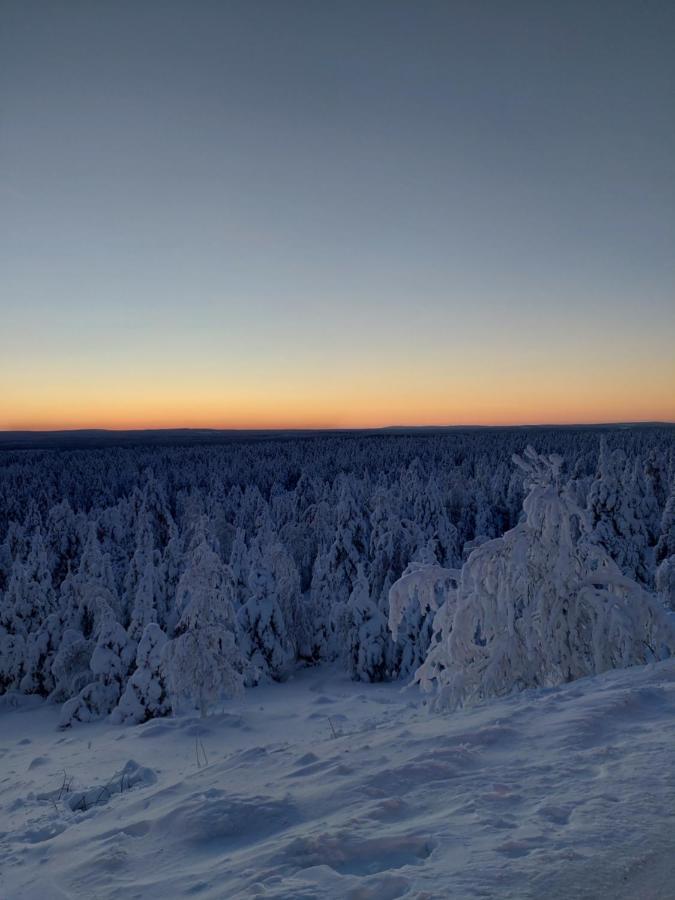 Latvus Rovaniemi