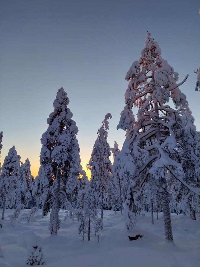 Chalet Latvus *